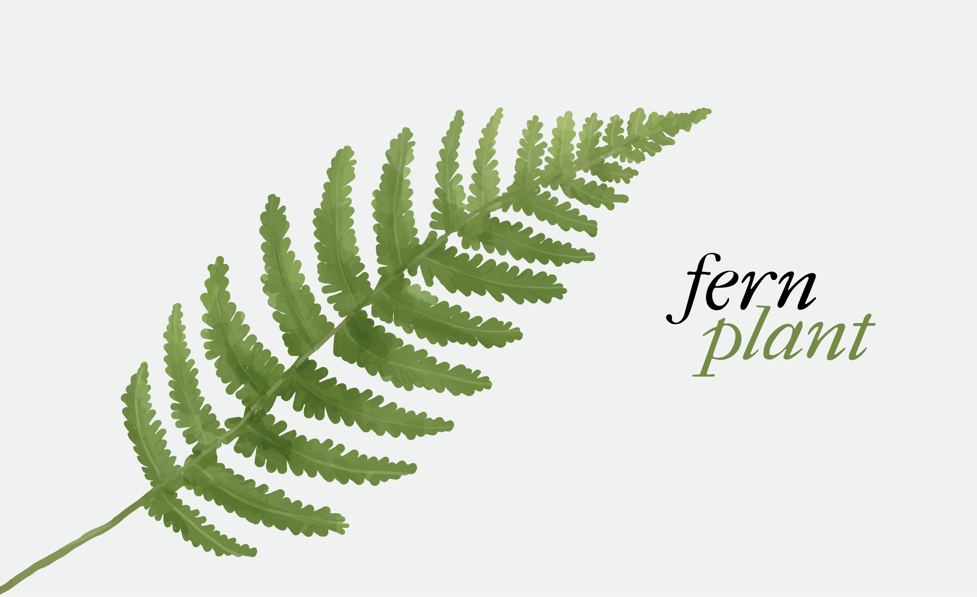 Fern plant design flower vinyl rug - TenStickers