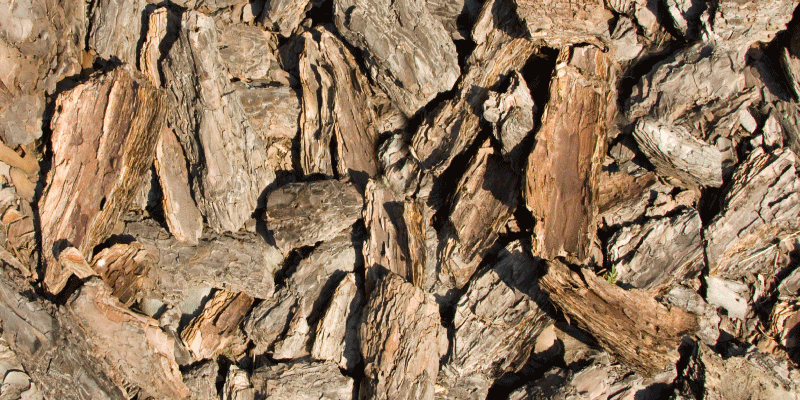 Brown rustic tree bark texture carpet - TenStickers