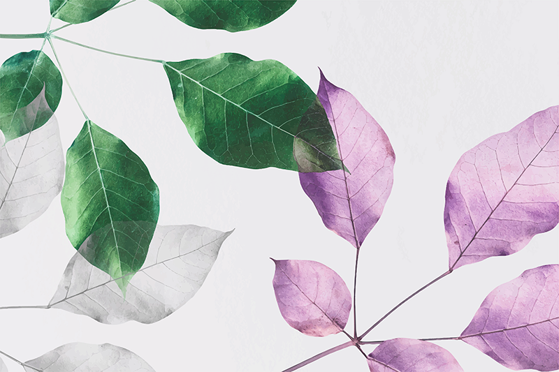 Leafy Botanical Prints flower vinyl rug - TenStickers