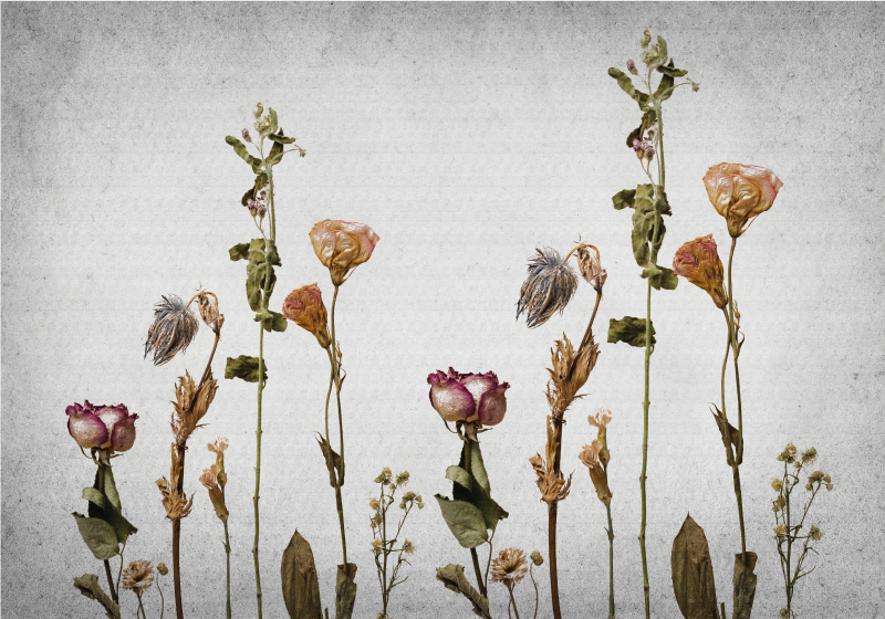 Scandinavian style dry plants floral rug - TenStickers