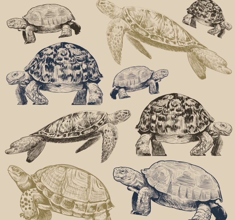 Turtle Collection animal wallpaper - TenStickers