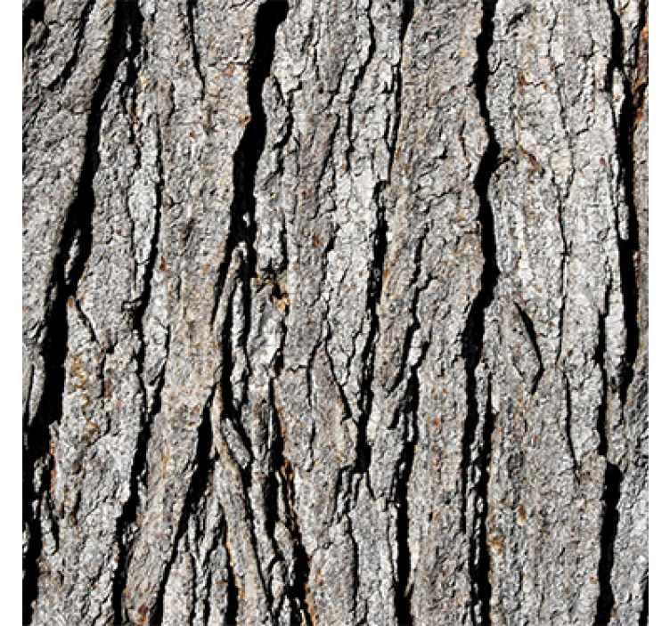 Wood wallpaper realistic trunk pattern - TenStickers