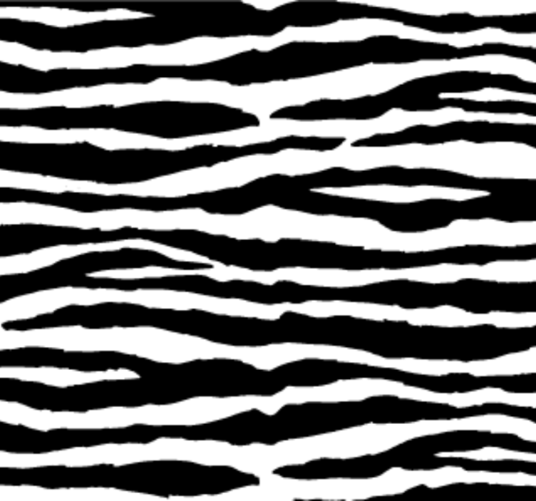 Zebra stripes animal wallpaper - TenStickers