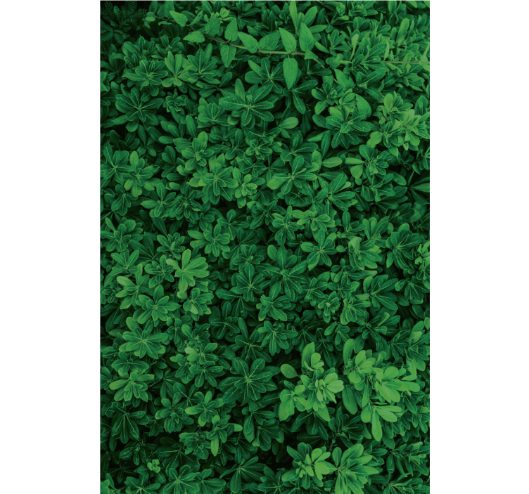 Nature wallpaper deep green foliage - TenStickers