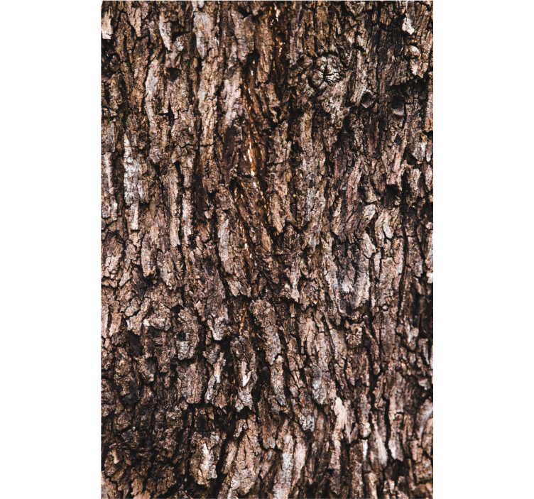 Master bedroom wallpaper realistic tree bark design - TenStickers