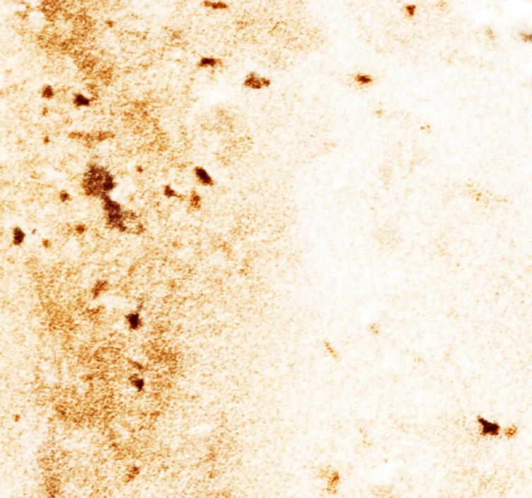 Natural Stone Aesthetics marble wallpaper - TenStickers